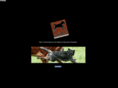 kelpie-bouvier-australien.org