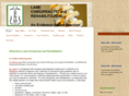 lanechiroandrehab.com