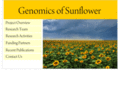 sunflowergenome.org