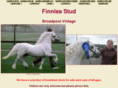 finnleastud.com