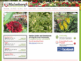 malmborgsinc.net