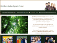 northernlakesimpact.org