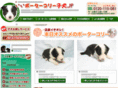 e-border.jp