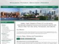 svbf-law.com
