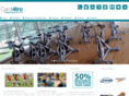 carril4tro.com