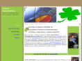 cloverautomotiveny.com