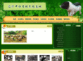 lnzhxz.com