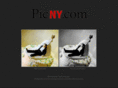 picny.com