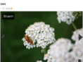 saskiadejonge.com