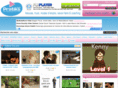 vdopratic.com