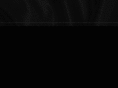 bora8.com