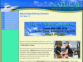 palm-beach-fishing-charters.com