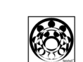 spinballsuperbearings.com