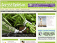 asecondopinionmag.com