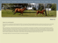riverrescueranch.com