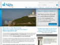 theniewgroup.com