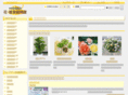 webdepa-flower.com