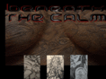 beneaththecalm.net