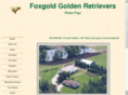 foxgold.net