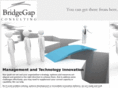 bridgegapconsulting.com