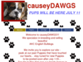 causeydawgs.com