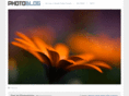 flowerqt.com