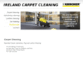 bflcarpetcleaning.com