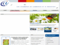 cci-france.com