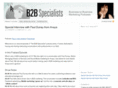 theb2bspecialists.com