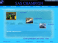 champion-decoupelaser.com