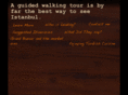 walksinistanbul.com