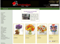 bloomingdays.com