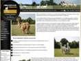moonsbrookalpacas.com