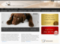 sacramentocarpetcleaningcare.com