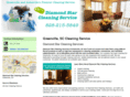 diamondstarcleaningservices.com