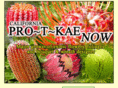 marecbokae.com