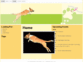 paws4success.com