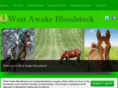 wawakebloodstock.com