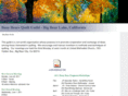 busybearsquiltguild.com