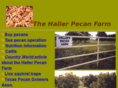 hallerpecans.com