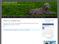 livingwaterkennel.com