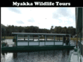 myakkawildlife.com