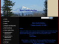 rareearthstudios.com