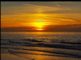 topsailcharter.com