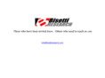 bisettiresearch.com