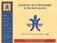 fibromyalgiebsl.org