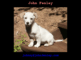 johnfenley.com