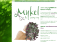 mykel.com