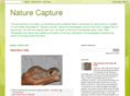 nature-capture.com