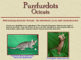 purrfurdotsocicats.com